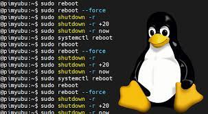 Diagnosing Reboots in Linux